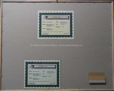  / Tvář / Salvador Dalí