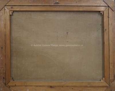  / Norský fjord / Alois Tužinský (Tužina)