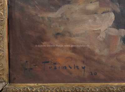  / Norský fjord / Alois Tužinský (Tužina)