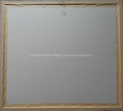  / Nejlepší číslo cirkusu Medrano / Adolf Born