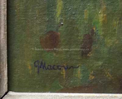  / Volákův kopec Kameničky / Gustav Macoun