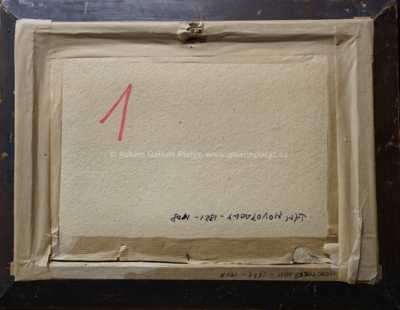  / U alpského jezera / Jan  Novopacký