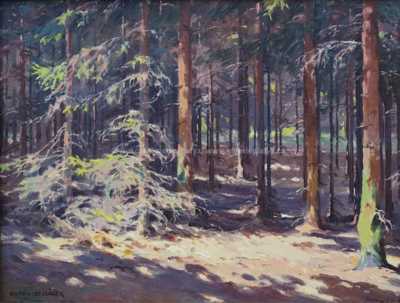  / Slunce v lese / František Daněk - Sedláček