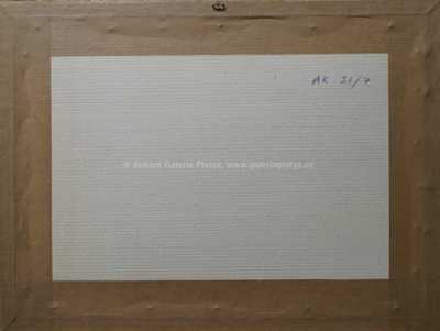  / Akt / Václav Špála