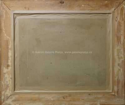  / Zimní nálada / Karel Schadt