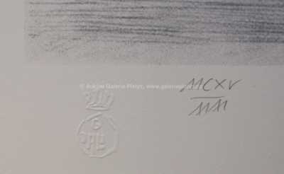  / Akt / Salvador Dalí