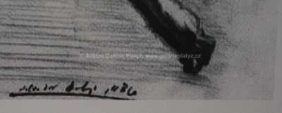  / Akt / Salvador Dalí