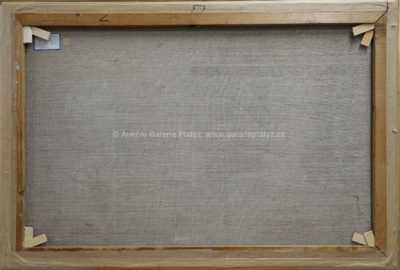  / Plachetnice / Vladimír Havel