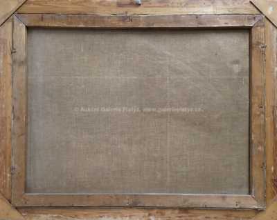  / Zamrzlý přístav / Oldřich Farský