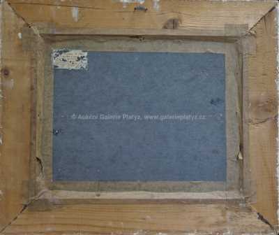  / Pod Karlovým mostem / Niko Miljan