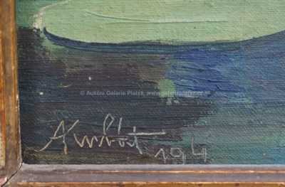  / Lekníny / Antonín Kubát