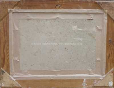  / Lekníny / Antonín Kubát