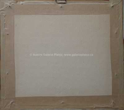  / Zapadané chaloupky / Jaroslav Panuška