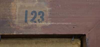  / Zátiší / František Emler