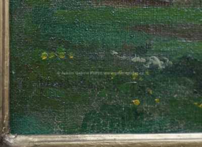  / Rozkvetlá louka / Gustav Macoun