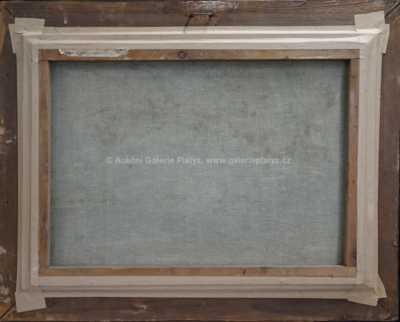  / Rozkvetlá louka / Gustav Macoun