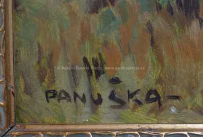  / Řeka / Jaroslav Panuška