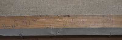  / Michovka u Malé Skály / Vincenc Beneš