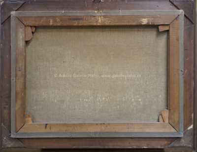  / Michovka u Malé Skály / Vincenc Beneš