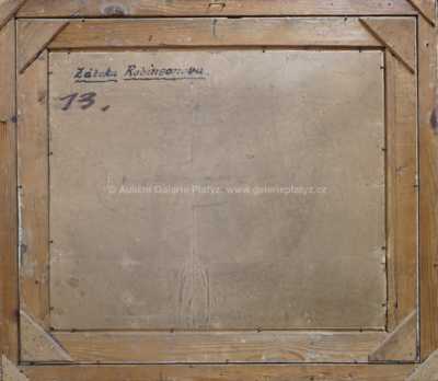  / Zátoka Robinsonova / Josef Písecký (Liška)