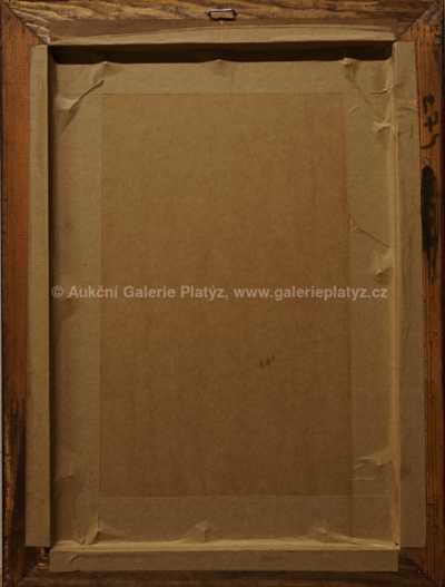  / Okraj lesa / Augustin Satra