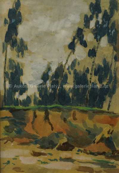  / Okraj lesa / Augustin Satra