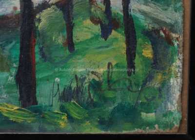  / V dešti / Jiří Hudeček