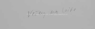  / Večery na Loire / Adolf Born