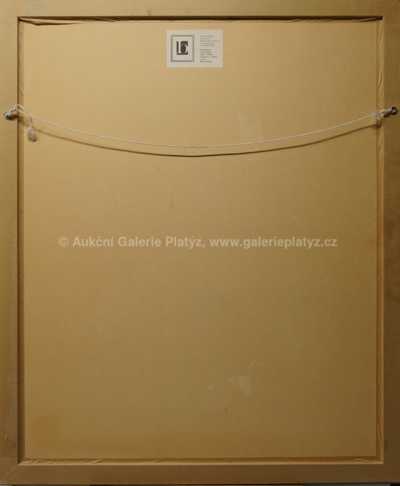  / Trosečníci / Adolf Born