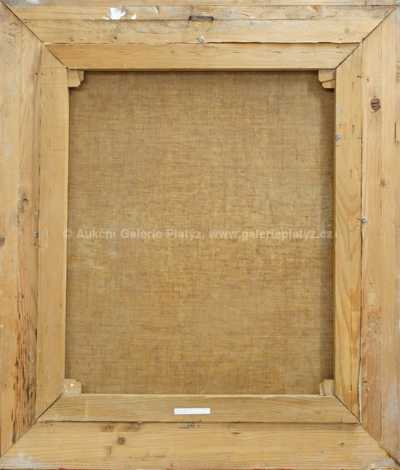  / Portrét dívky / Josef Fiala