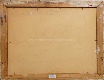  / Zlaté klasy / Fritz Raida