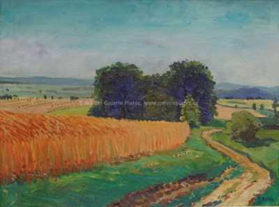  / Zlaté klasy / Fritz Raida