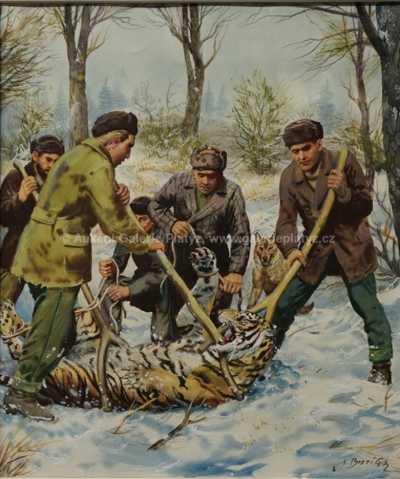  / Lov na ussurijského tygra / Zdeněk Burian