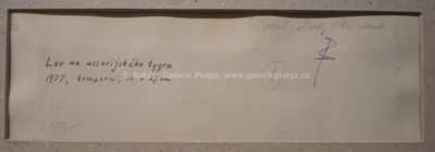  / Lov na ussurijského tygra / Zdeněk Burian