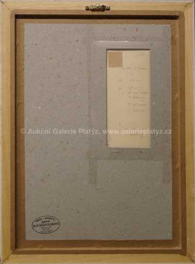  / Plazící se / Zdeněk Burian