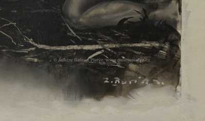  / Plazící se / Zdeněk Burian