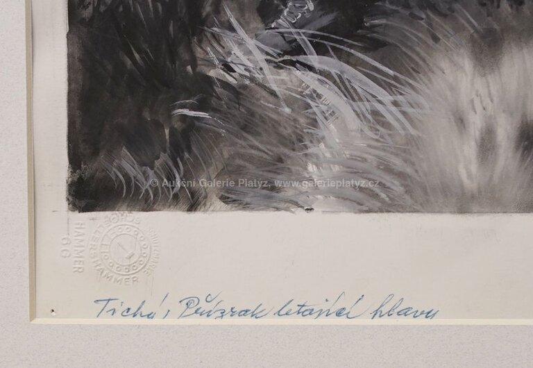  / Přízrak létající hlavy / Zdeněk Burian