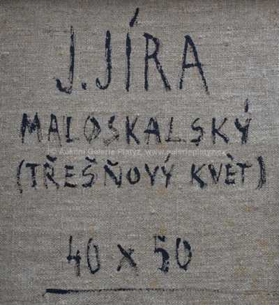  / Třešňový květ / Josef Jíra