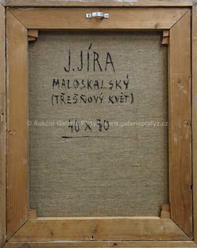  / Třešňový květ / Josef Jíra