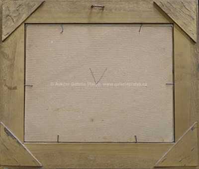  / Cesta krajinou / Josef Procházka