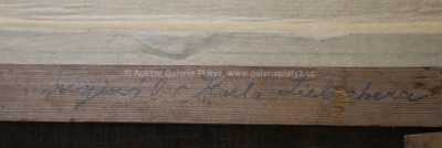  / Daleký pohled / Karel Liebscher