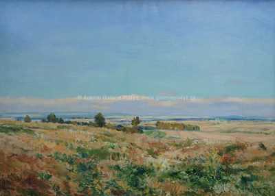  / Letní krajina / Karel Jan Sigmund