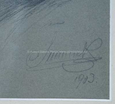  / Rytíř / Karel Šimůnek