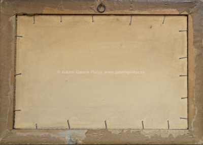  / Průhled na hrad / Roman Havelka