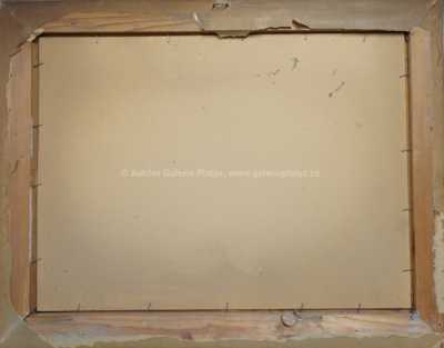  / Hrad na kopci / Roman Havelka