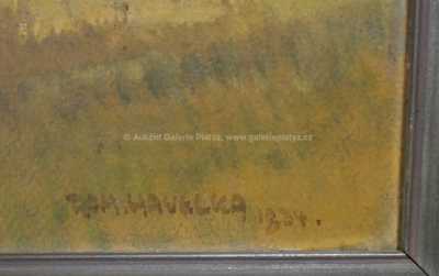  / Hrad na kopci / Roman Havelka