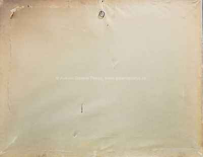  / Potok v podhradí / Roman Havelka