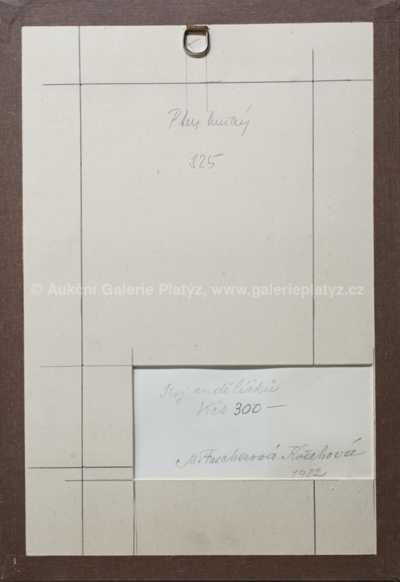  / Roj andelíčků / Marie Fischerová – Kvěchová