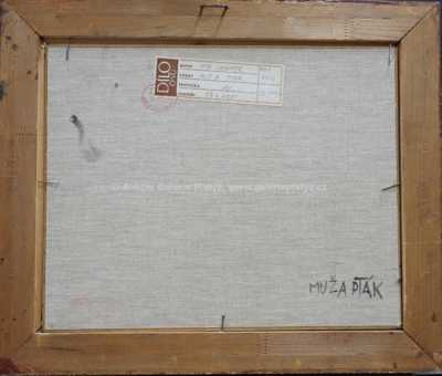  / Muž a pták / Ota Janeček