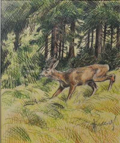  / Na pastvě / Jiří Židlický